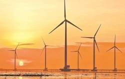 DN được trợ lực bởi EVN Finance vừa chào UPCom, BCG Energy cũng sửa soạn niêm yết với khối tài sản gần 20.000 tỷ