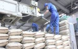 Đón “cú hích” từ đầu tư công, ngành xi măng vẫn thua lỗ