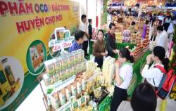 Co.opmart, Co.opXtra đưa đặc sản địa phương vào giỏ quà Tết
