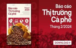 ‘Cơn khát’ cà phê robusta đẩy lên cao điểm