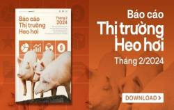 Xuất hiện tín hiệu khởi sắc