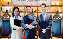 Tỉnh Quảng Trị và T&T Group hợp tác chuyển đổi năng lượng