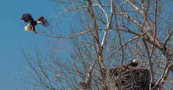 Thêm nhiều “đại bàng” chọn Việt Nam là thị trường trọng điểm để “đổ bộ”
