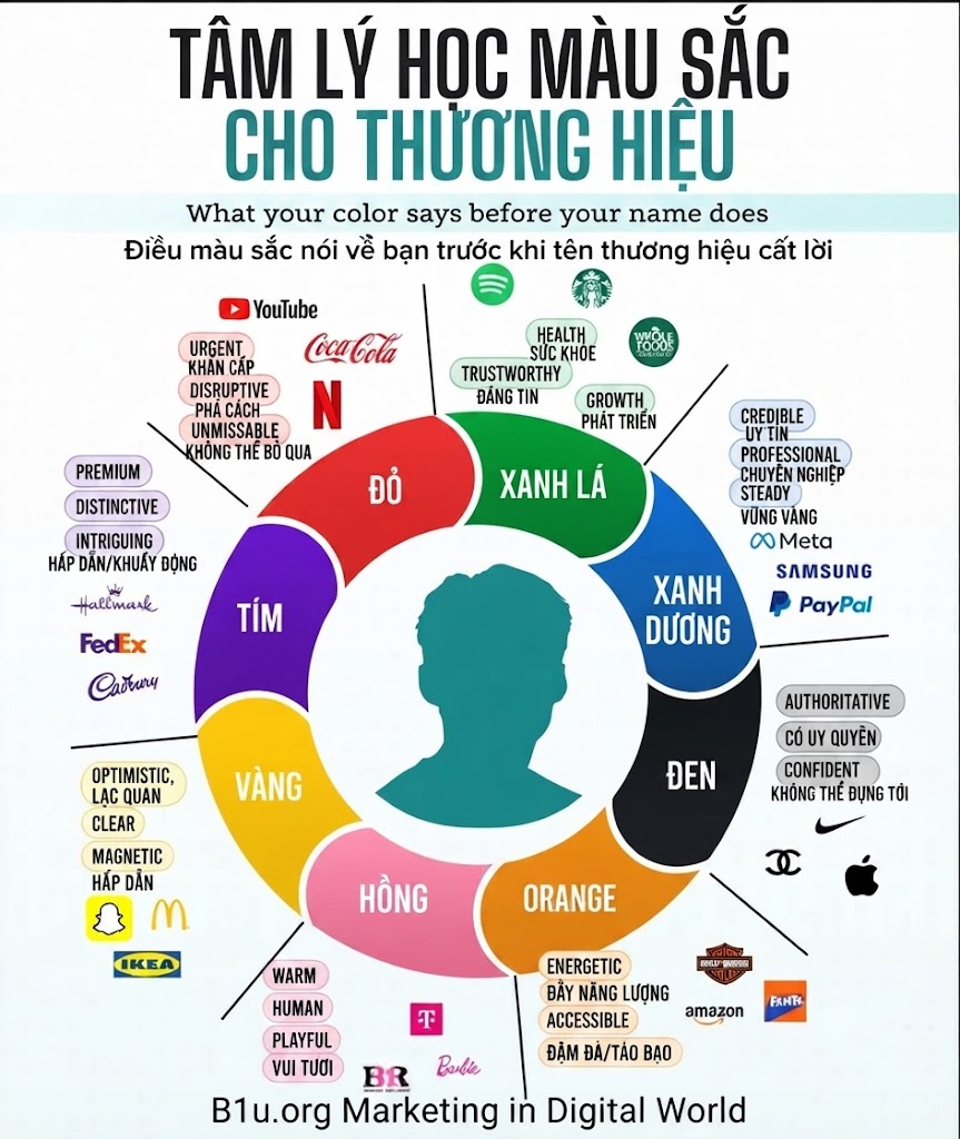 Tâm Lý Học Màu Sắc Cho Thương Hiệu: Ngôn Ngữ Vô Hình Định Hình Điểm Chạm Bản Sắc